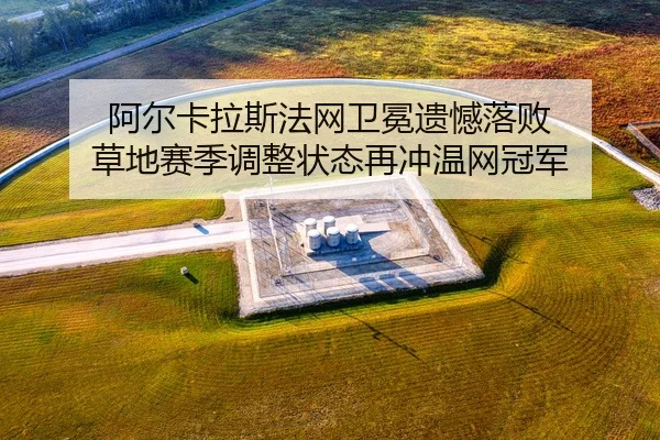 a-er-ka-la-si-fa-wang-wei-mian-yi-han-luo-bai-cao-di-sai-ji-tiao-zheng-zhuang-tai-zai-chong-wen-wang-guan-jun-2-180.jpg