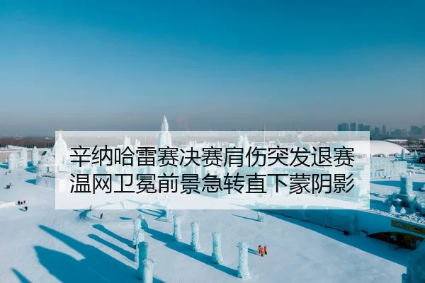 辛纳哈雷赛决赛肩伤突发退赛 温网卫冕前景急转直下蒙阴影