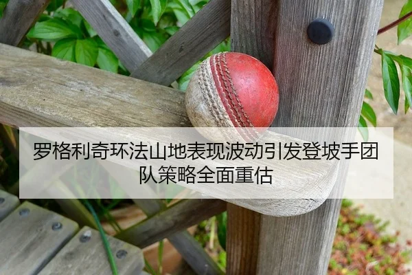 罗格利奇环法山地表现波动引发登坡手团队策略全面重估